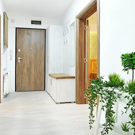 Paradise Sunshine Βελιγράδι